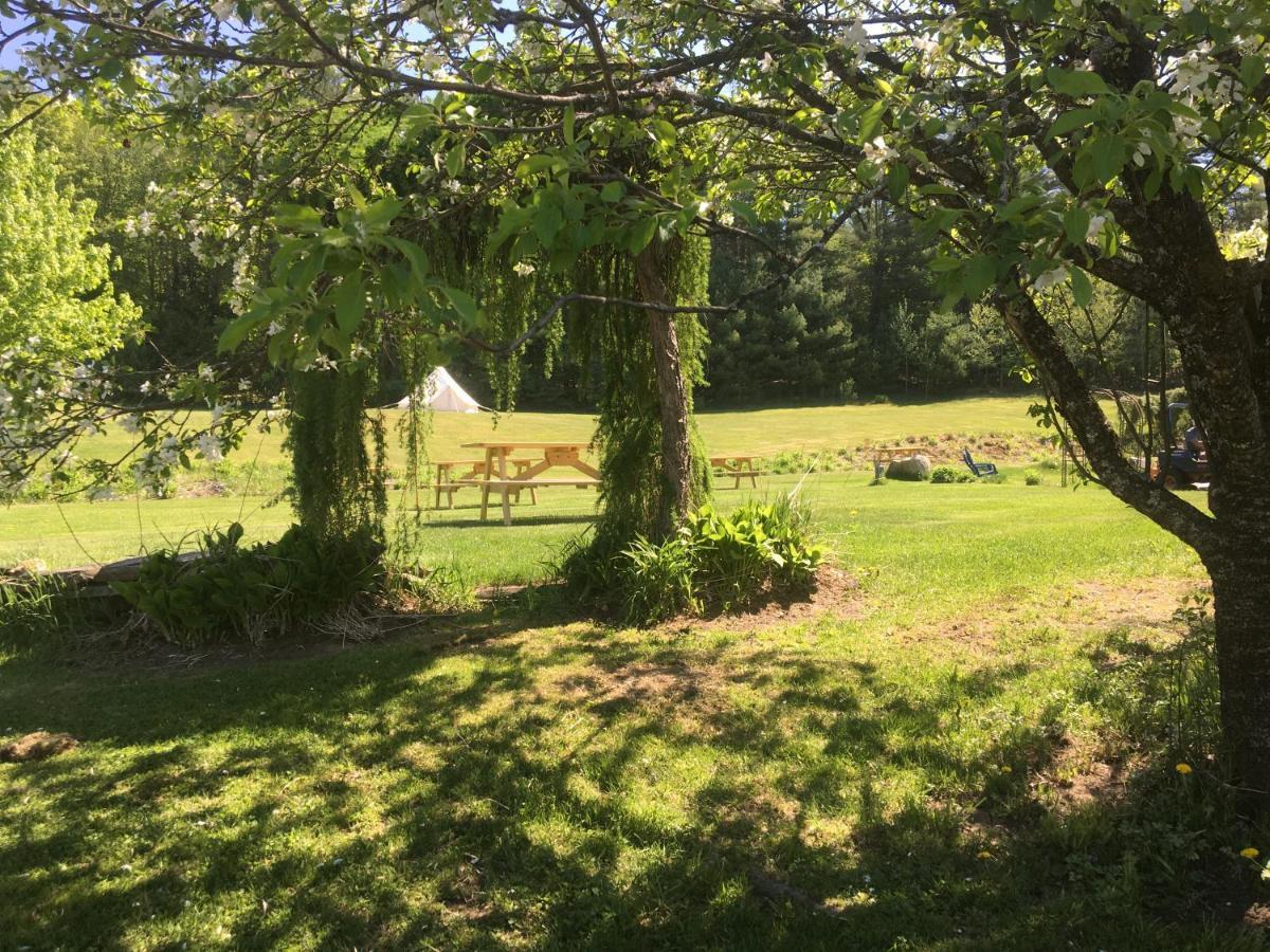 Craftsbury Farmhouse Extérieur photo